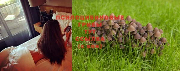 синтетический гашиш Кинешма