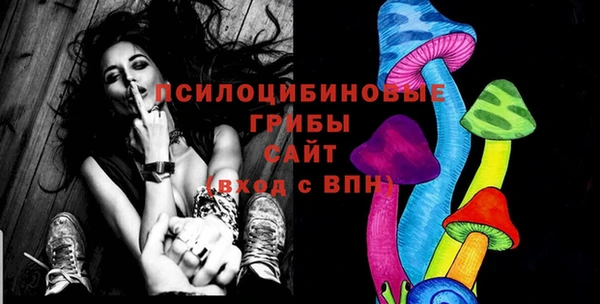 гашик Карталы
