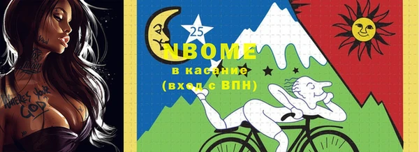 гашик Карталы